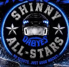 shinny hockey - Photo 3