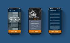 Website content and design - Photo 4