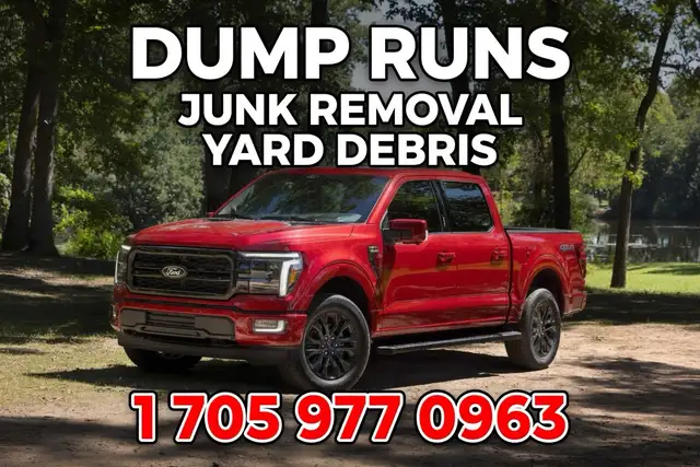 DUMP RUNS JUNK REMOVAL YARD DEBREE