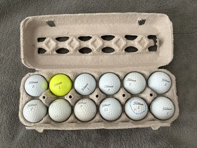 Titleist Pro V1 Golf Balls one dozen