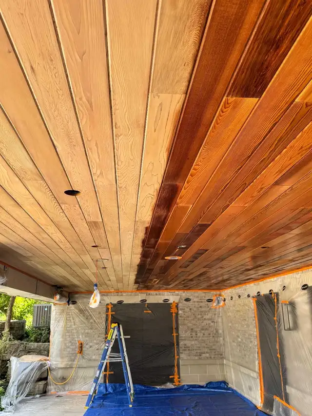 painter/ helper needed