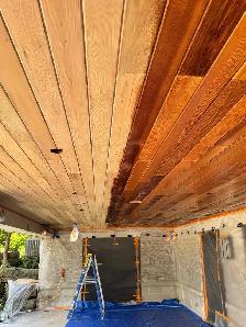 painter/ helper needed