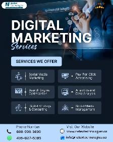 Digital Marketing | SEO