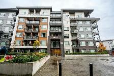 Apartment for Rent - Photo 7