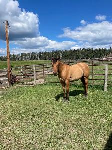 MJB Little Miss Fancy - Photo 3