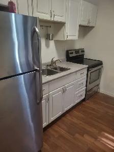 ONE BEDROOM SEPT 1ST HINTONBURG - Photo 4