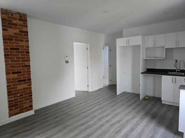 5 1/2 appartement à louer au Plateau Montreal