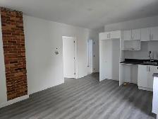 5 1/2 appartement à louer au Plateau Montreal