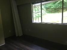 3 beds 2 bath main level housing for rent - Photo 7