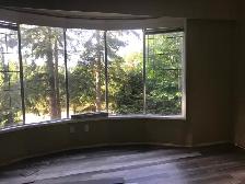 3 beds 2 bath main level housing for rent - Photo 9