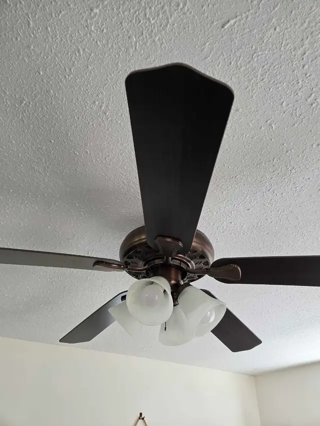 Ceiling Fans
