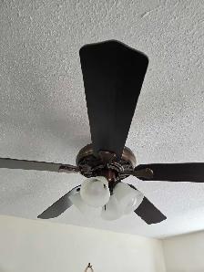Ceiling Fans