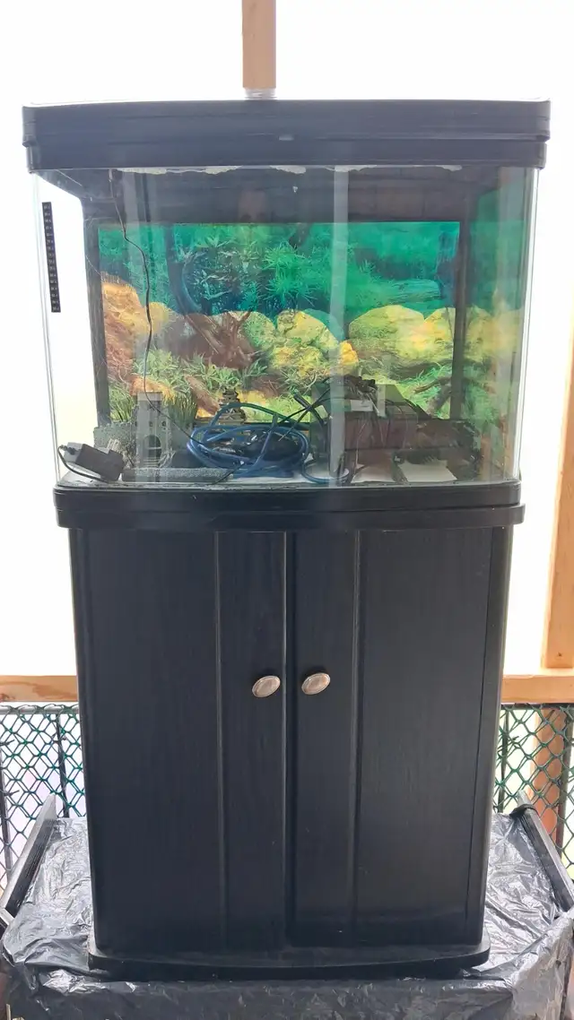 Aquarium 30 gallons  table d’aquarium