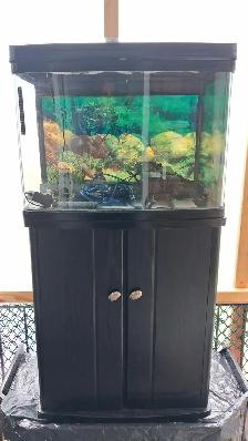 Aquarium 30 gallons  table d’aquarium