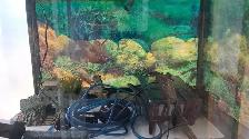 Aquarium 30 gallons  table d’aquarium - Photo 2