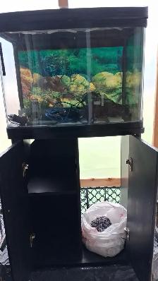 Aquarium 30 gallons  table d’aquarium - Photo 3