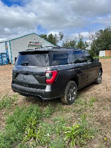 2020 Ford Expedition Stealth Edition - Photo 3
