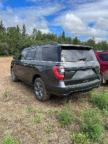 2020 Ford Expedition Stealth Edition - Photo 4