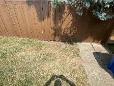 junk removal - Photo 4