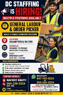 General Labour in Halton Hills - Photo 4