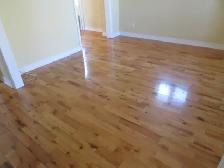 Cozy 2 bedroom house for rent in Glace Bay. - Photo 4