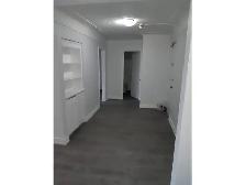 1 bedroom 1 bath - Photo 3