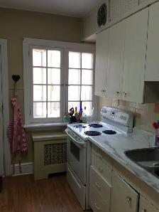 CIVIC Area Large 2BDR Apartment available Sept 1st. - Photo 7