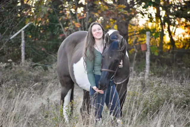 Horse Training Availability