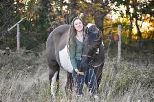 Horse Training Availability