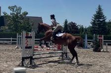 Horse Training Availability - Photo 2