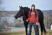 Horse Training Availability - Photo 3