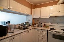 2 BEDROOM 2 BATHROOM CONDO PENTHOUSE @ UTSC - Photo 4