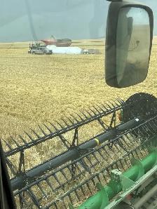seasonal farm labour - Photo 2