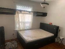 Seeking roommate for apartment in Dufferin Grove area