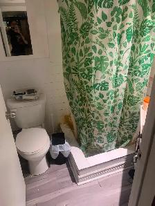 Seeking roommate for apartment in Dufferin Grove area - Photo 2
