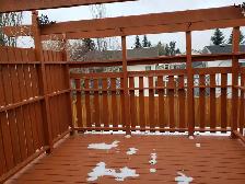 RENT IN SHAWNESSY : BEAUTIFUL HOME  MF WITH GARAGE - Photo 10