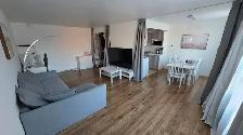 1 Bedroom, 1 Bathroom Apartment - Photo 3