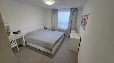 1 Bedroom, 1 Bathroom Apartment - Photo 5