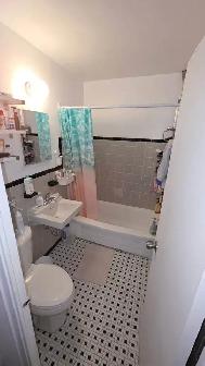 1 Bedroom, 1 Bathroom Apartment - Photo 8