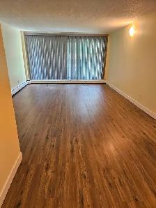 Desirable condo in Acadia - Photo 14