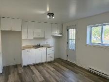 Beau très grand 3 1/2, secteur Vanier, Rénové ! - Photo 3