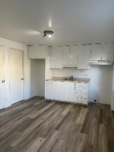 Beau très grand 3 1/2, secteur Vanier, Rénové ! - Photo 6