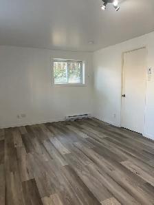 Beau très grand 3 1/2, secteur Vanier, Rénové ! - Photo 11