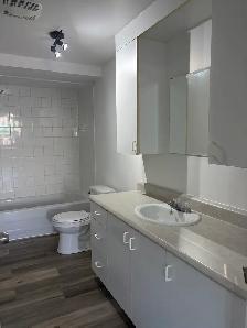 Beau très grand 3 1/2, secteur Vanier, Rénové ! - Photo 13