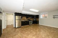 1-Bedroom   2-Dens 1-Bathroom l 7650D Grayshell Rd. l Basement S - Photo 3