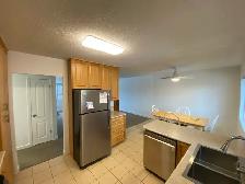 3-Bedroom 1-Bathroom l 236A Nicholson Street South l Upper Suite