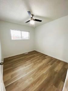 3-Bedroom 1-Bathroom l 236A Nicholson Street South l Upper Suite - Photo 11