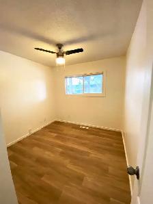 3-Bedroom 1-Bathroom l 236A Nicholson Street South l Upper Suite - Photo 13