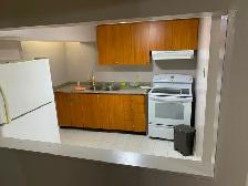 Basement for rent - Mississauga - Photo 6