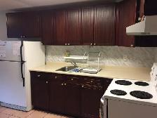 Walk-Out 1 bdr bsm apart. 1prk ,$1700 HW 7/Dufferin /Rutherford - Photo 4